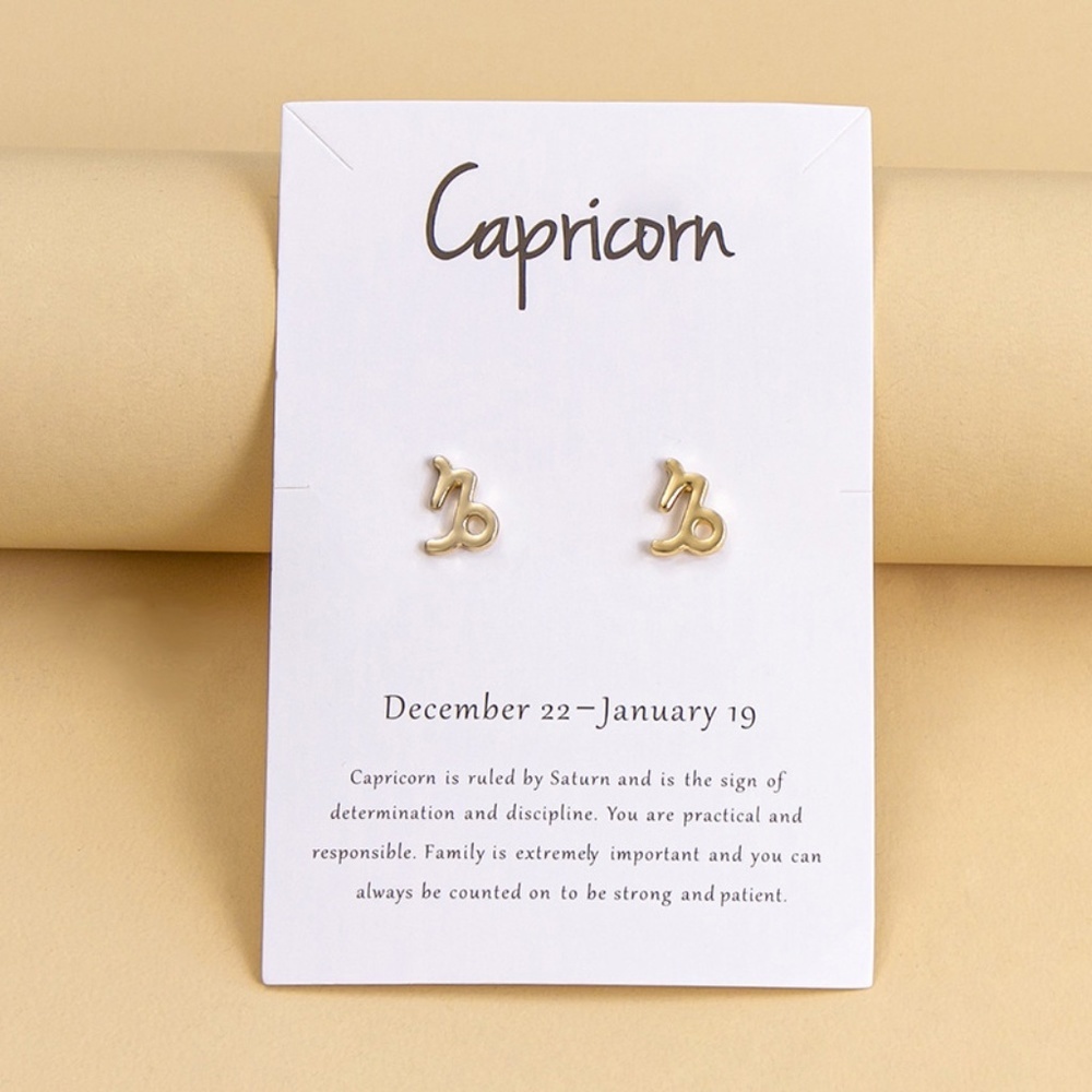 Julane Gold Capricorn Fashion Horoscope Earrings 14$